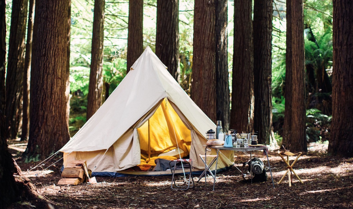 NC Coffee Cup Campers 